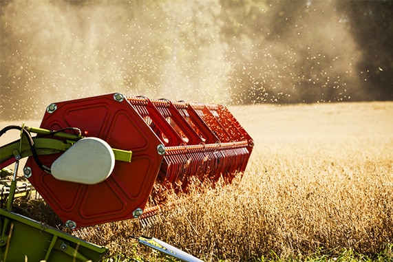 How Particle Analysis Benefits Agricultural Grain Size Analysis