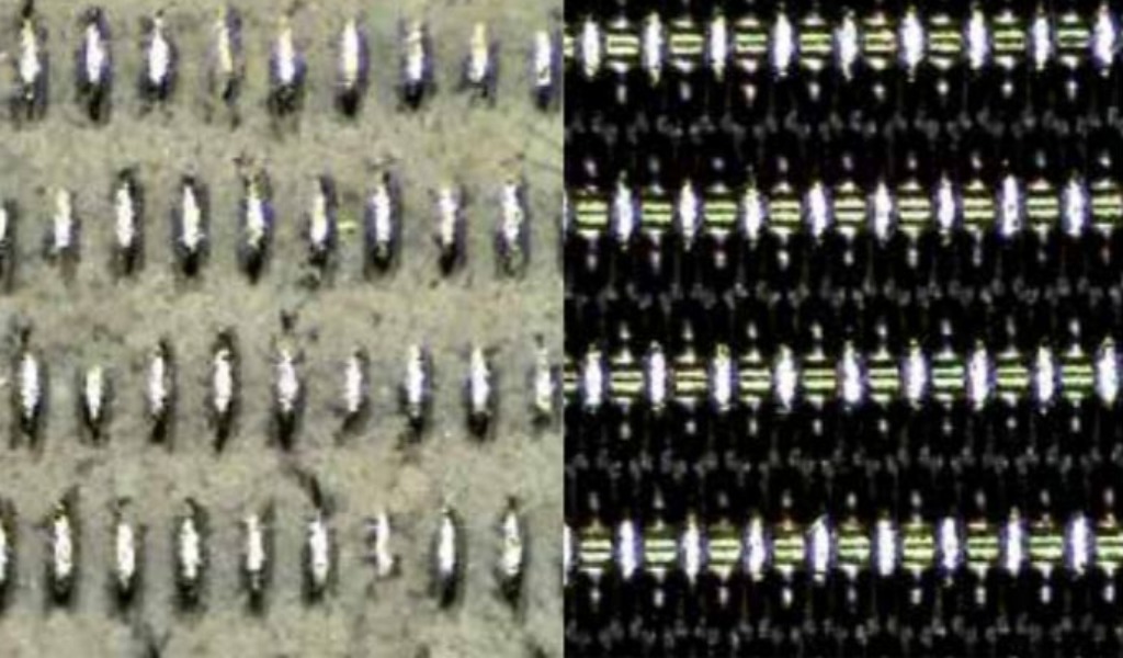 Filter Cloth: Absolute vs Nominal Micron Rating