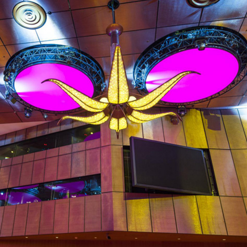 Photography of project “QNCC Conference Hall”